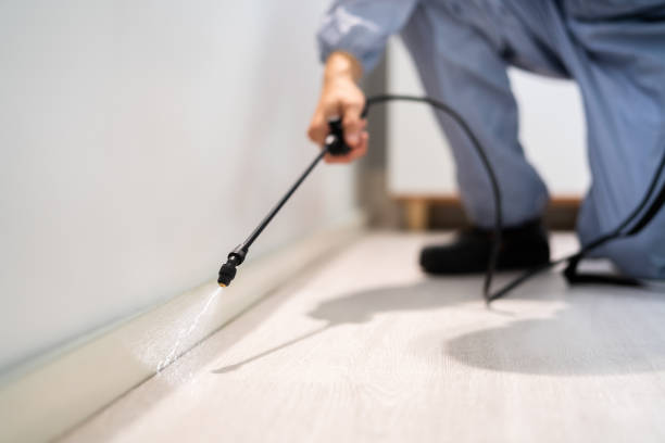 Licensed Mosquito Control service in Normal, IL - Nex Pest Control