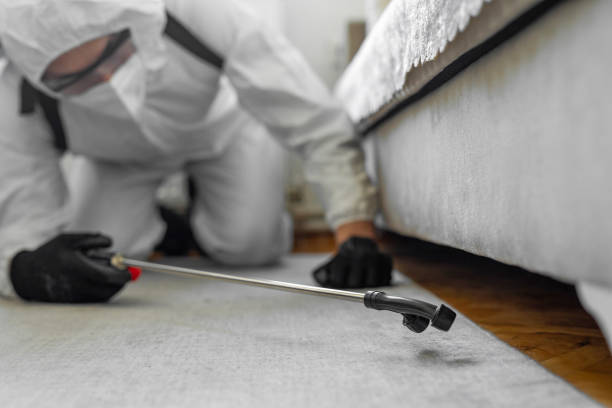 Professional Mosquito Control technician working in Normal, IL