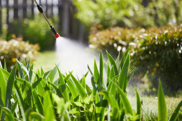 24/7 Emergency Mosquito Control experts in Normal, IL