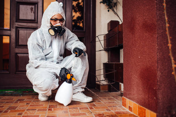 Reliable Mosquito Control contractor in Normal, IL by Nex Pest Control