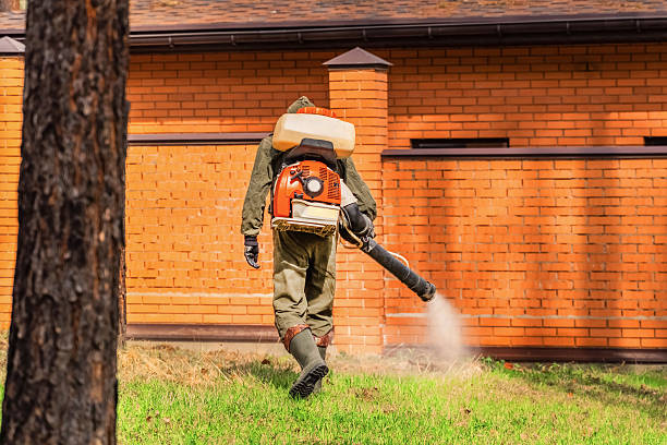 Top rated local Mosquito Control specialists in Normal, IL